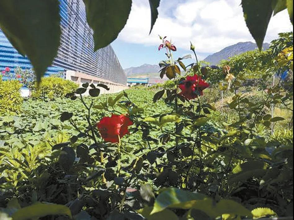 1604370414703236.jpg ΢ÐÅͼƬ_20201103102659.jpg